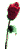 rose.gif