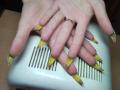post-36034-1265992010_thumb.jpg