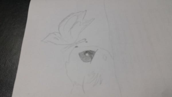 post-11796-0-67445000-1458304931_thumb.j