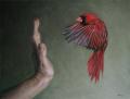 post-30900-010608800 1306251011_thumb.jpg