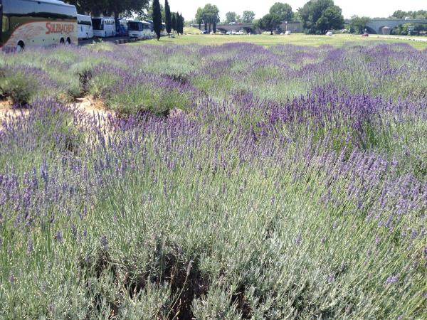 post-11796-0-96491700-1403704794_thumb.j