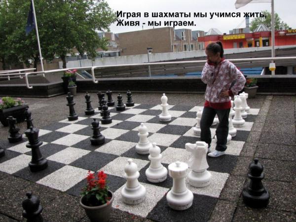 post-11796-0-42679200-1407392431_thumb.j