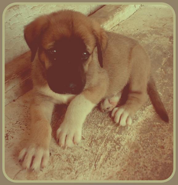 post-11796-0-62931000-1407396184_thumb.j