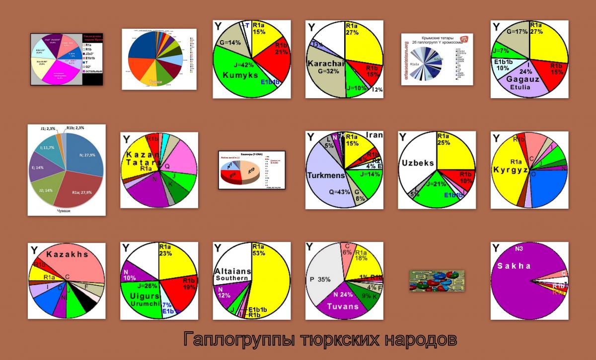 Гены туркменов. Гаплогруппы тюркских народов. Гаплогруппа тюрок. Тюрки гаплогруппа. Генетика тюркских народов.