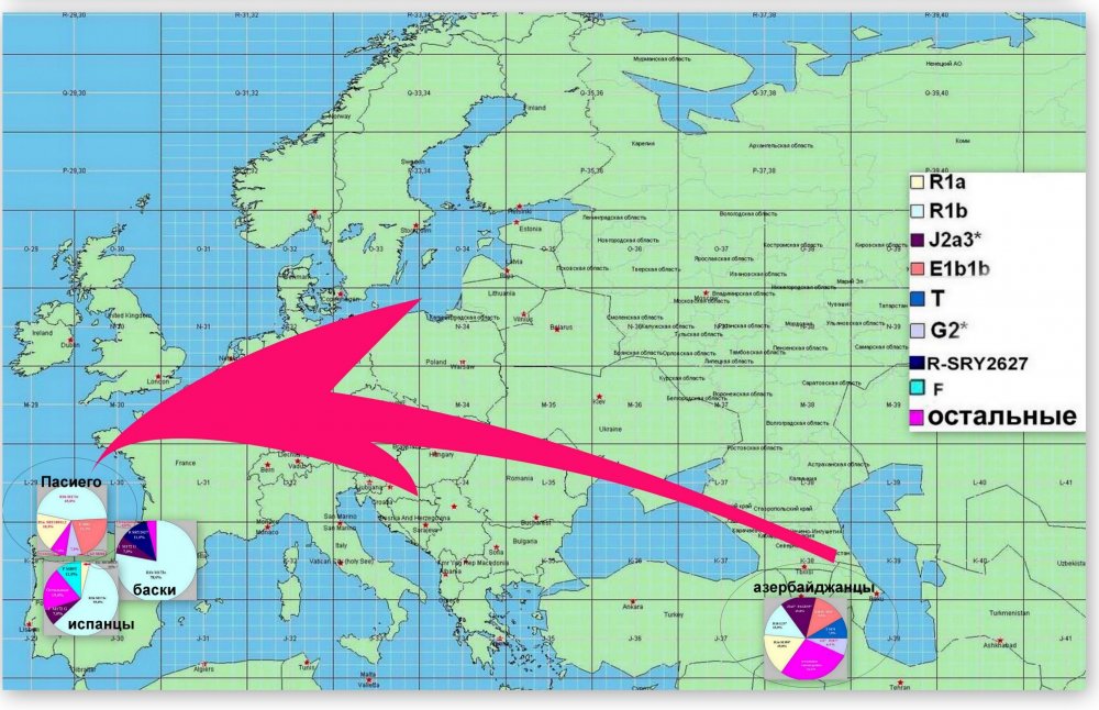 генетические корни пасиего.jpg