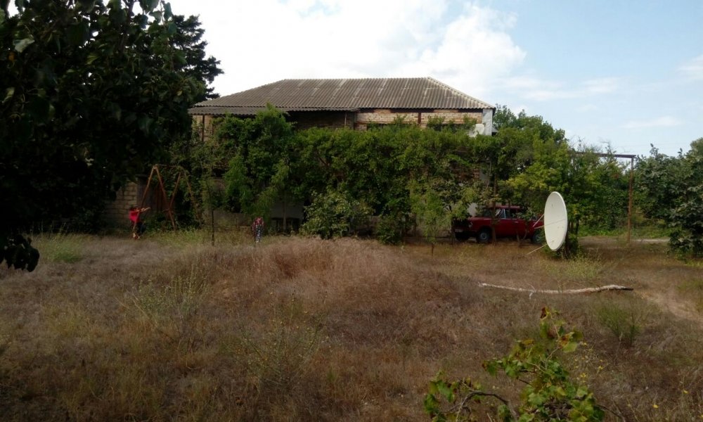 WhatsApp Image 2018-01-27 at 11.16.51.jpeg