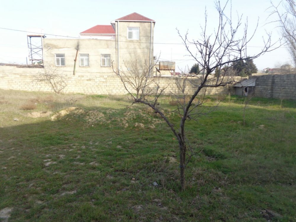 WhatsApp Image 2018-01-27 at 11.16.52.jpeg