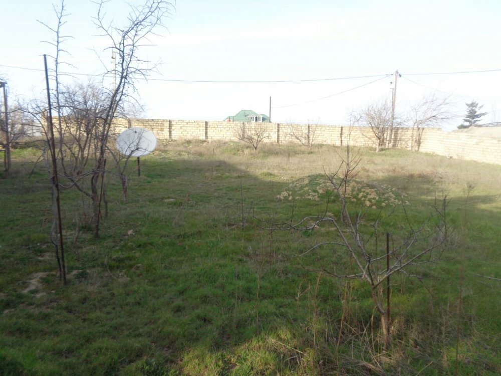 WhatsApp Image 2018-01-27 at 11.16.53(1).jpeg