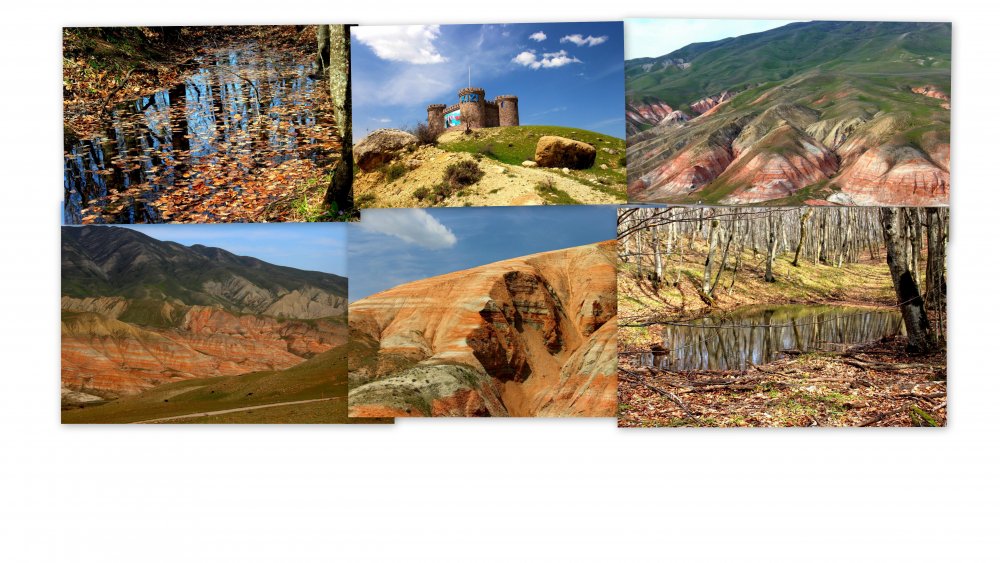 Новая папка.jpg