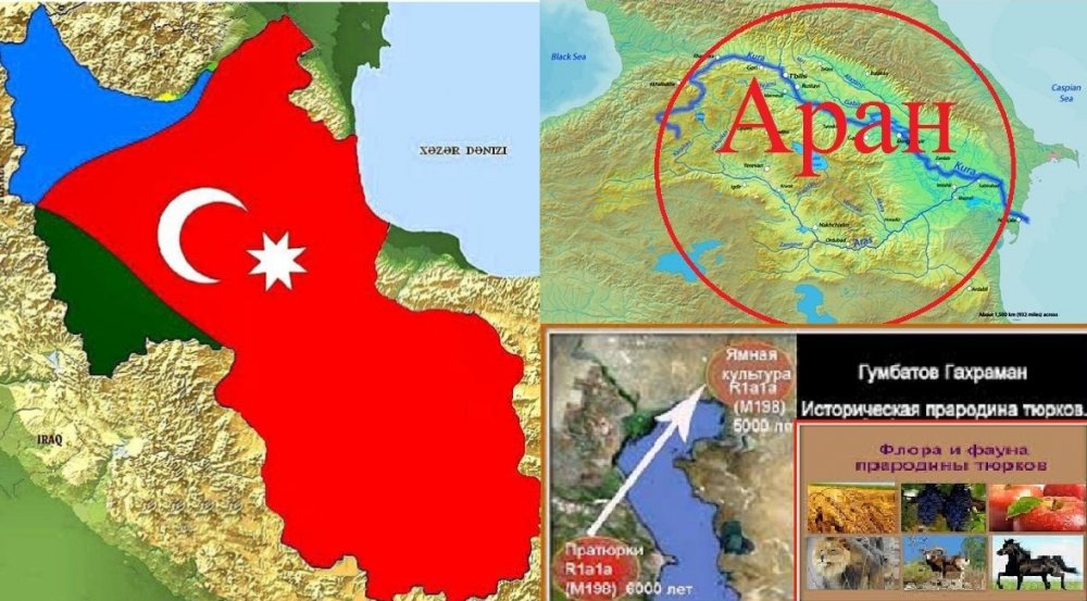 тюрки.jpg