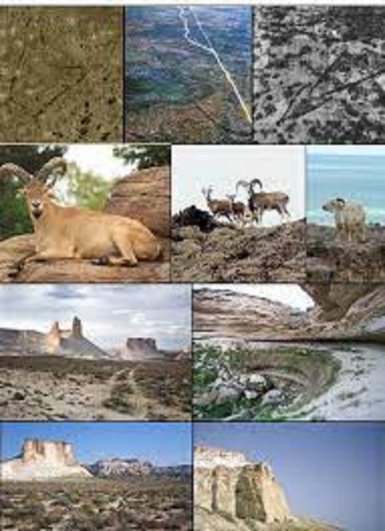 Без названия.jpg