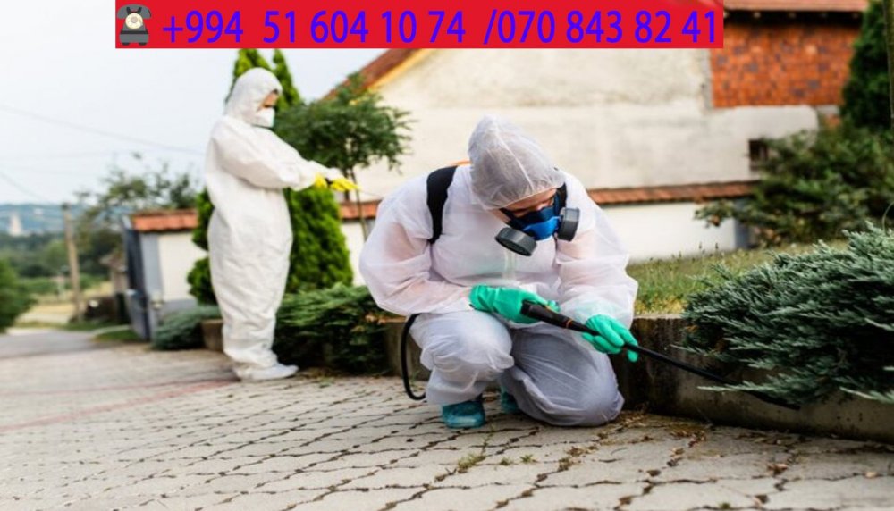 Без имени-1 копия.jpg