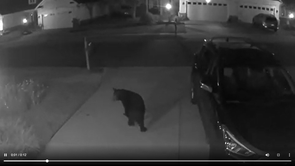 Screenshot (3206).png