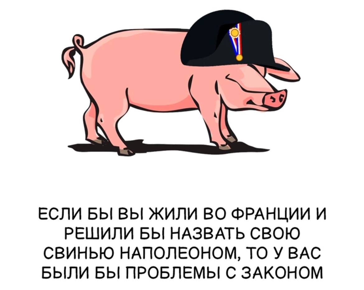 Гороскоп свинья мужчины