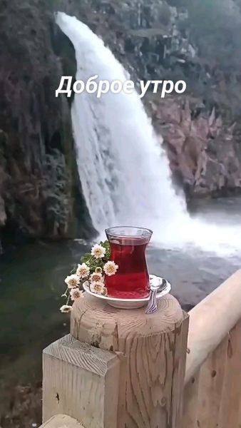 Доброе утро.jpeg