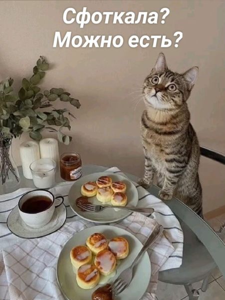 Сфоткала_ Можно есть_.jpeg