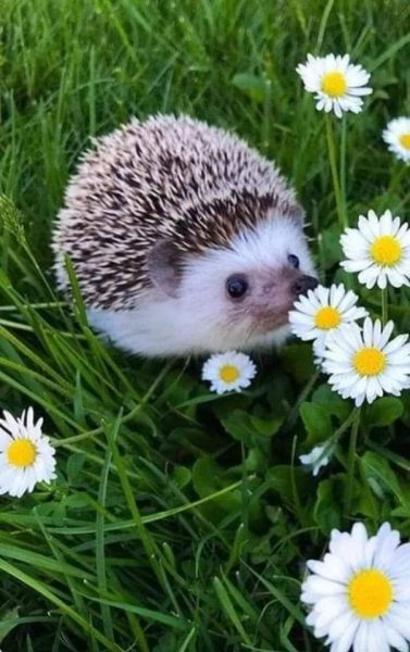 48e23af7-9c21-4dea-a0a6-3c2bce788f34 (1).jpeg