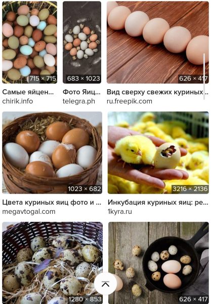 Screenshot_20250423_121923_Samsung Internet.jpg