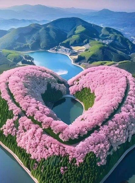 50dcaa3057e75d41361d409d019282ec (1).jpg