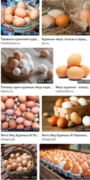 Screenshot_20250423_121912_Samsung Internet.jpg