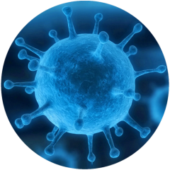 Тригексилон помогает снизить риск инфекций в любых условиях