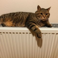 Отопительные технологии для дома: выбор и монтаж