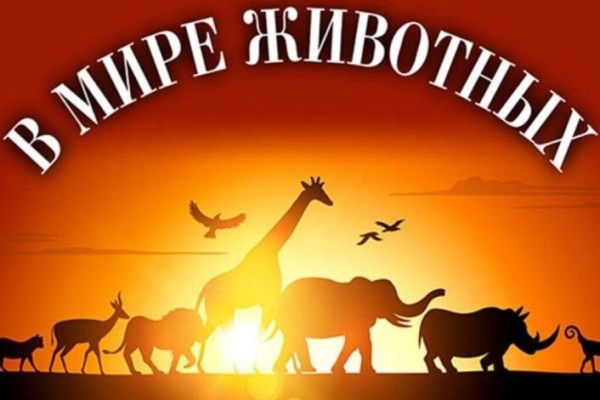 zastavki-gas-kvas-com-8k24-p-zastavki-dlya-peredachi-v-mire-zhivotnikh-11.jpg