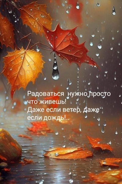 6ba5bcb1cee2b04cb91d6884d98793d7 (2).jpg