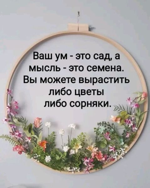 90b379132bd17cfdb6788fa1983645db (1).jpg