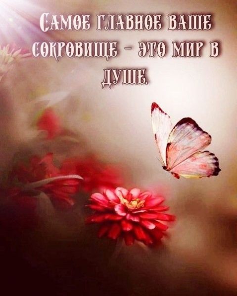 38b34070a955ccdab10ed4be0c439bbb.thumb.jpg.0e9268147a76810d2cbd5715edf96cc5.jpg