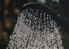 V-ogorodnom.ru: товары для дачи и огорода