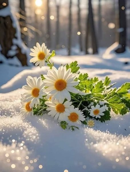 5ee9132e2e5a3585b2994f34326bbba0 (1).jpg