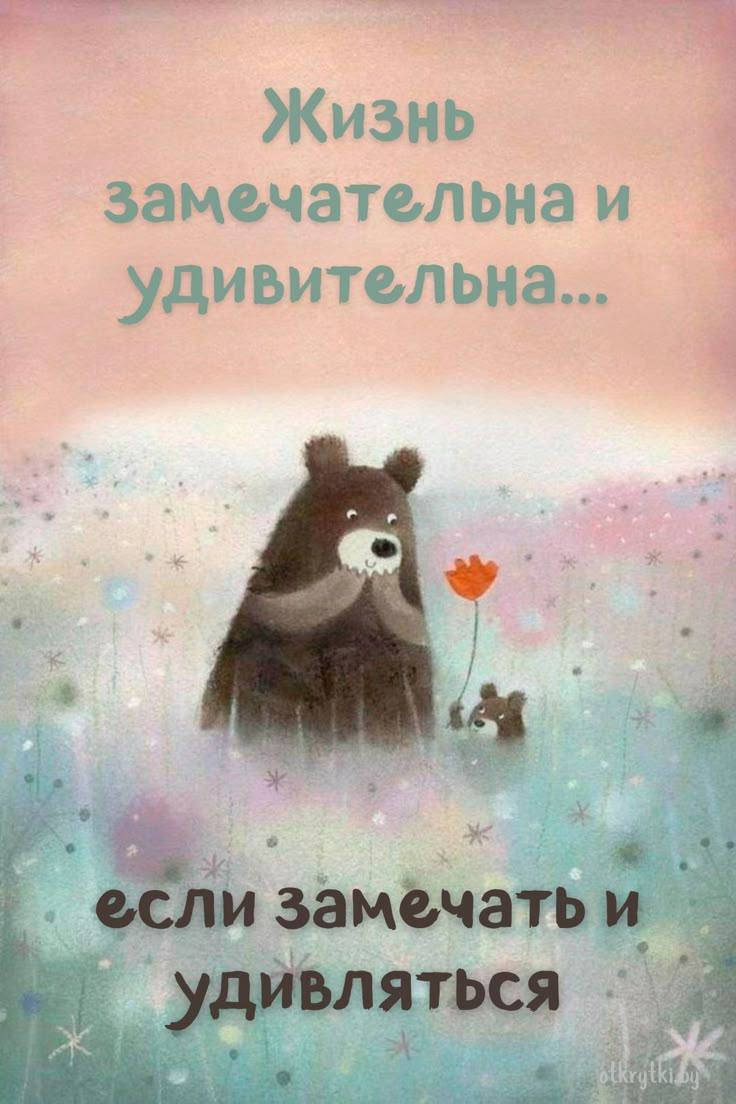 19-13-35.jpg.0499636c9e623192f966c91978c97efe.jpg