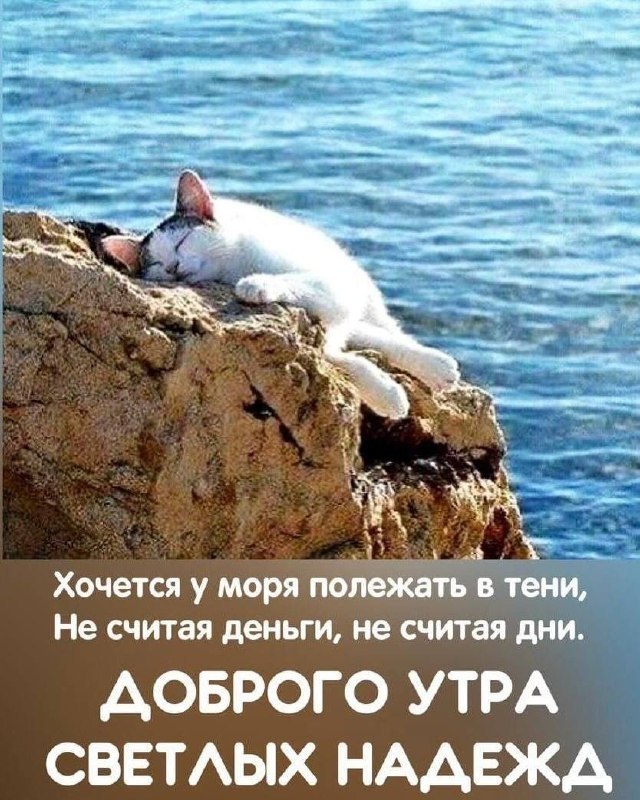 18-06-22.jpg.cb46b864318342986250869c707debb0.jpg