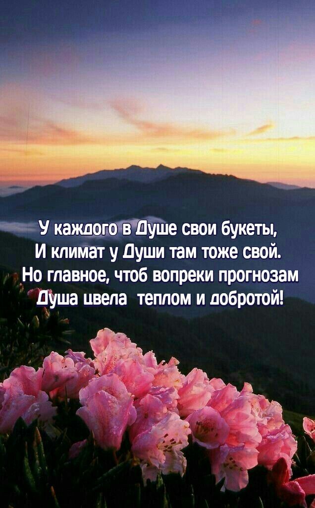 67a5103474688e406be9e69d873475b6.jpg.988ea683e78527c4b927b31560a025fb.jpg