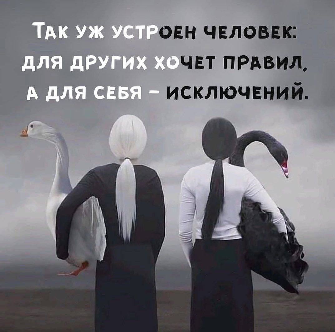 9-13-53.jpg.727d6a3e1ff37aed3f8c2dfc12e37a96.jpg