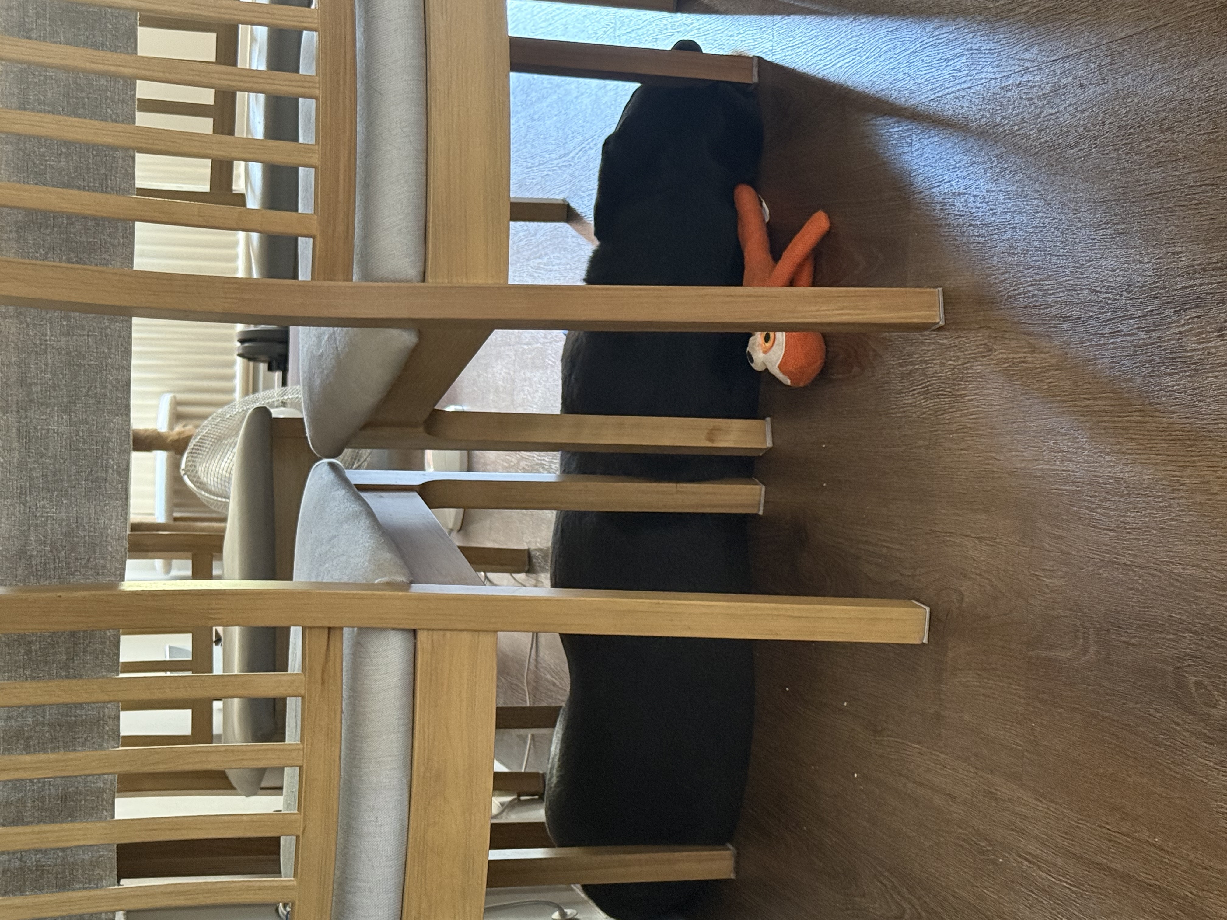 IMG_2746.jpeg.968e67a12a0336fbddf88cbe46daa730.jpeg