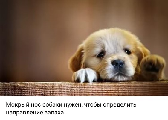 183219.jpg.b98ed9d7ee37dbe3610664e1d20926f7.jpg
