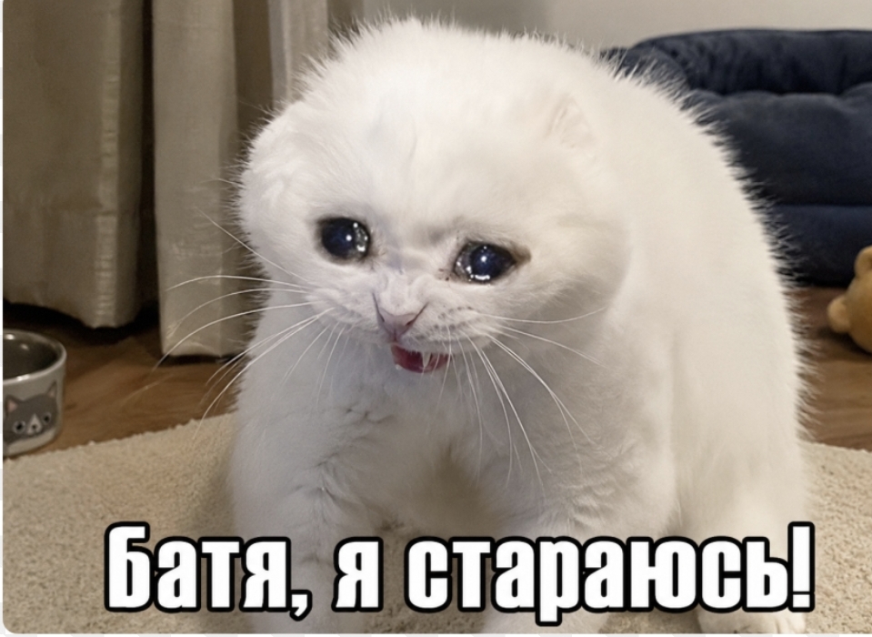 Screenshot_20260911_113453_com_android_chrome_ChromeTabbedActivity.jpg.1101a5a9248fafc9bd1f604b16f50250.jpg